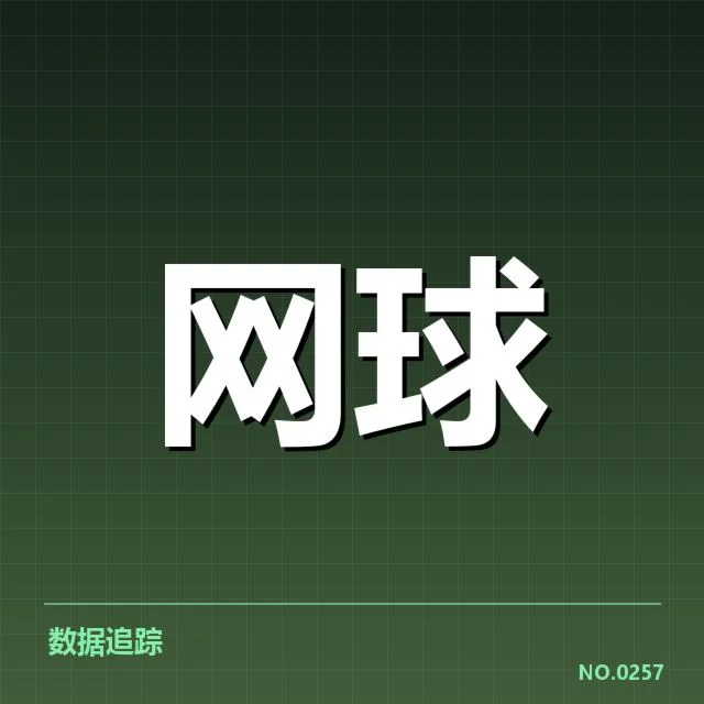 李娜复出相关赛事与确认信息